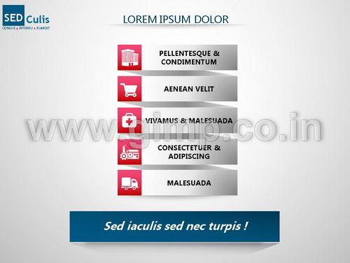 Business Advisory Services PPT