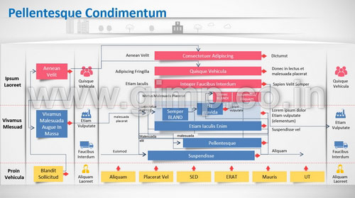 Management Consultancy PPT