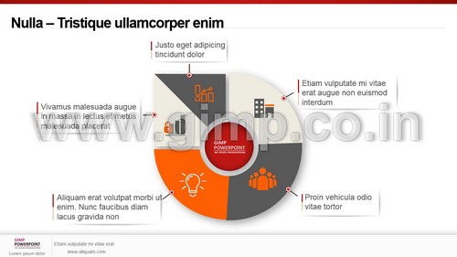 PPT on Data Analytics Company