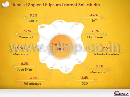 Equity Investment PowerPoint Slide Design