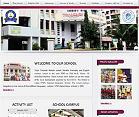 Website Development for School