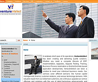 Website of Venture Consultancy Services